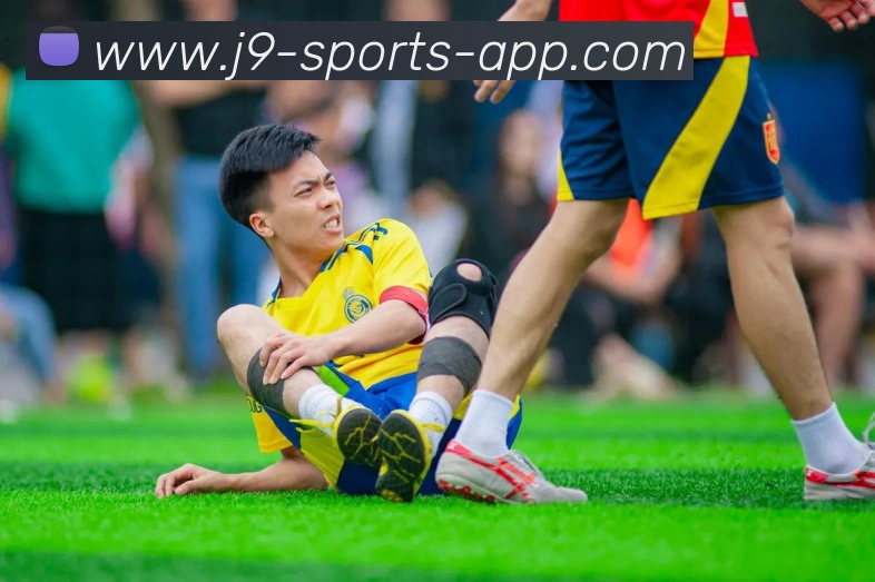 九游会APP 封面图